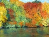 the-magic-of-autumn-492x243